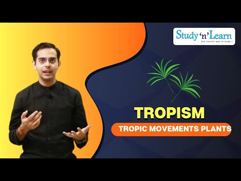 Tropism | Tropic Movements of Plants | Biology | Control and Coordination