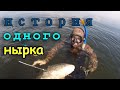 История одного нырка. Подводная охота на белого амура на Волге.