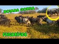 🛑🛑DIA DE EMBARCAR A BOIADA GORDA , NOVA FAZENDA