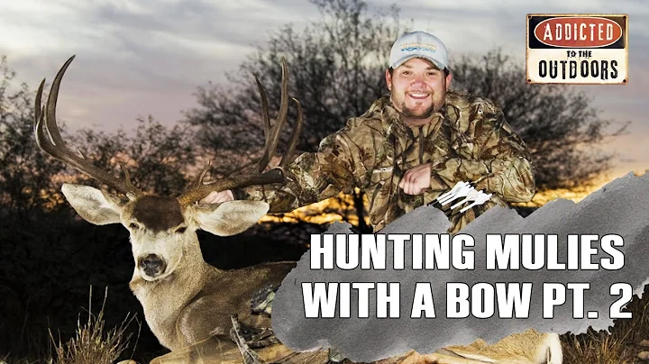 BIG MULIES in MEXICO with a BOW PT. 2