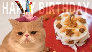 むたさん1歳の誕生日に手作り猫用ケーキをプレゼント！【のぴ】【めめ】