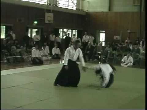 Sobue Mitsuru Shihan 7th Dan in Seishin-kan 2006