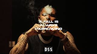 * FREE* BigWalkDog Type Beat / A Fall Is Always Harrowing