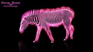 Speed Art | First Photo Manipulation!!! | Digital Zebra *HD* Speed Art | First Photo Manipulation!!! | Digital Zebra *HD*