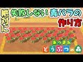 【あつ森】絶対に失敗しない青バラの作り方　～効率の良い花の置き方～【あつまれどうぶつの森】