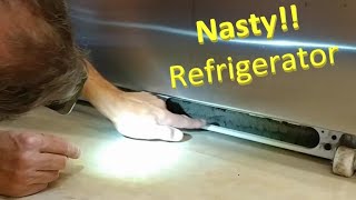 Nasty Refrigerator Coil Cleaning / Jenn-Air