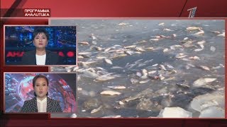 Рубрика «МЕЛОЧЕЙ НЕ БЫВАЕТ» от 16.12.2018