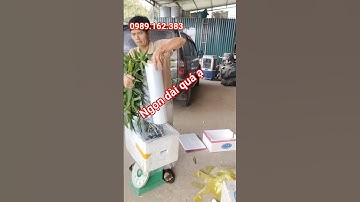 Cây giống măng lục trúc em đóng đi cho bà con đây ạ #caygiong #mangluctruc