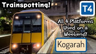 Kogarah Trains with ALL Platforms in Use!