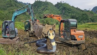 Excavators and trucks work together to build and clear land for rice cultivation in rural areas