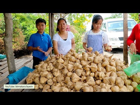 Khmer New Year Trip 14 | Travel from Kratie Province to Tbong Khmum Province