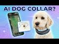 AI for Your Dog? SATELLAI Dog Collar is INSANE