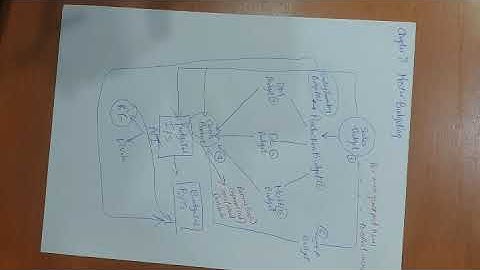 Managerial Accounting (Chapter  8): Master Budgeting