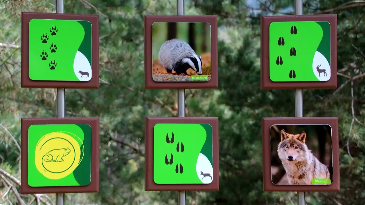 Žabia cesta Levoča