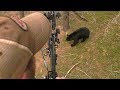 Saskatchewan Spring Bear Hunt