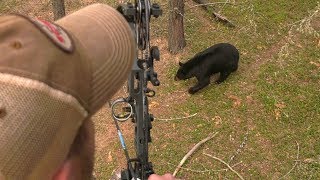 Saskatchewan Spring Bear Hunt