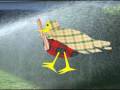 Robin in the Rain - Raffi