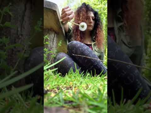 Blowing dandelion fairies over my toes and soles 🧚‍♀️🦶🏼
