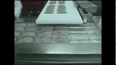 GEA (CFS) укладка нарезки колбасной в термоформер FlexLoader презентация