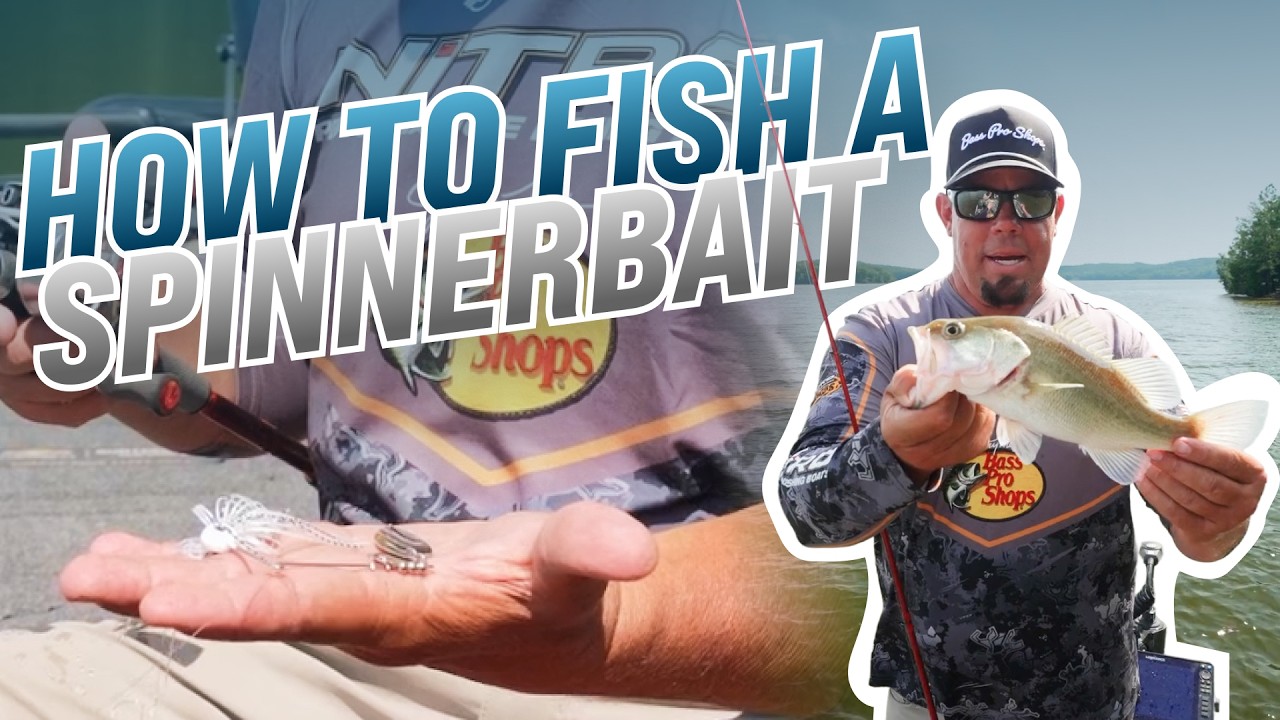 How to Fish a Spinnerbait! | Chris Lane