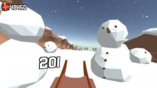 Snow Rider 3d (Score: 734)