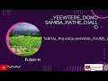 Tabital Pulaagu Kawral Fulɓe Yeewtere Samba Pathe Diallo 