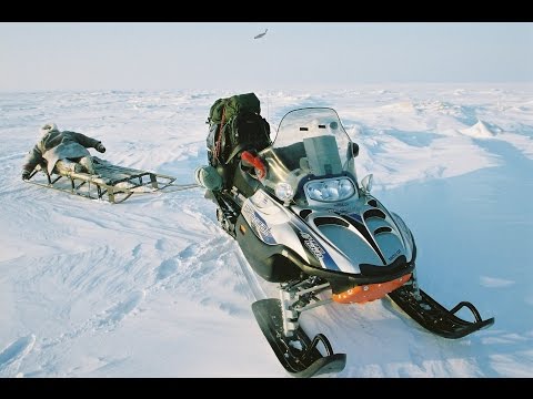 Охота в Арктике! ВПЕРВЫЕ на снегоходах Ямал - о.Белый! 1600км. Первопрохождение.