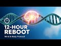 Unlocking Your Biological Blueprint A 12 Hour Protocol to Reboot Your Mind and Body