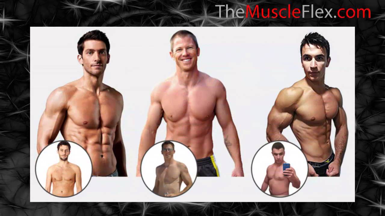 Плотный увеличиваться. Стадии накаченности. Типы накаченности тела. Этапы накаченности мышц мужчина. Мужчины по степени накаченности.