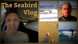 Größte Welle ever - The Seabird Vlog 095