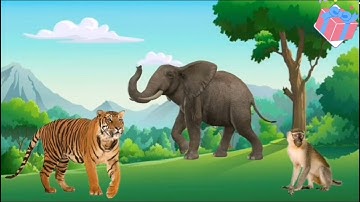 HĐ Khám phá: Tìm hiểu về một số loài vật sống trong rừng. Giáo viên: Kim Thị Hiền.