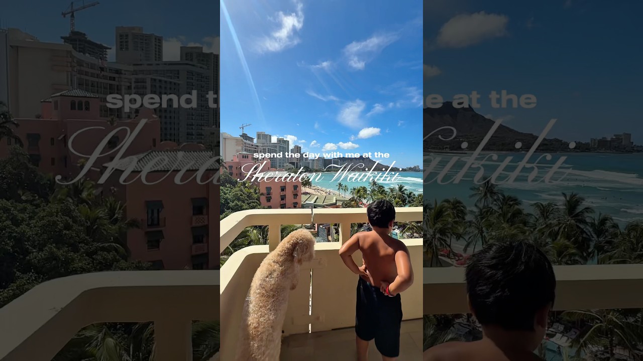 Spend the day with me at the Sheraton Waikīkī ☀️🏃🏽&zwj;♀️🏖️🐶 #hawaii #dayinmylife #diml #vlog