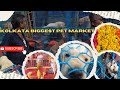 Kolkata Biggest Pet Market|| Galiff Street Dog Pet Market Kolkata || Bengali Vlog - 30
