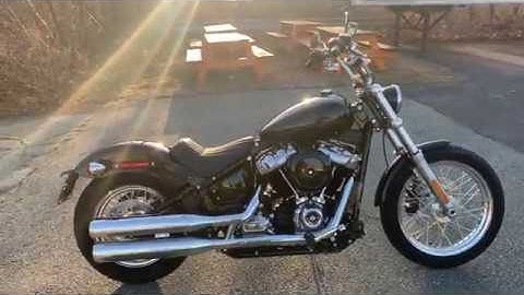 2020 Harley-Davidson Softail Standard in Vivid Black.
