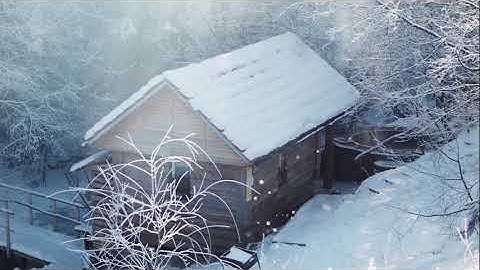 Team Together 2, Unit 7, Culture video, Log cabins