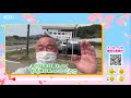 【ふるさとシェア】新地町 春の風物詩・チューリップ祭り(2022/4/27)