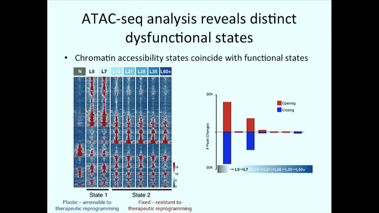 Decoding Epigenetic programs governing tumor specific T cell dysfunction... - Christina Leslie