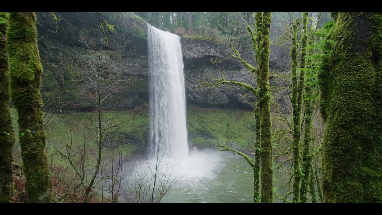 Relax Music | One With Nature | Connect With Nature | Heal