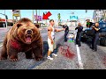 Franklin Tries to Catch a Big Hungry Wild Bear 😱🐻| GTA 5 #gta5 #gta5mods #shinchangta5