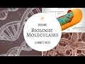 [Biochimie] - Biologie moléculaire: Les acides nucléiques