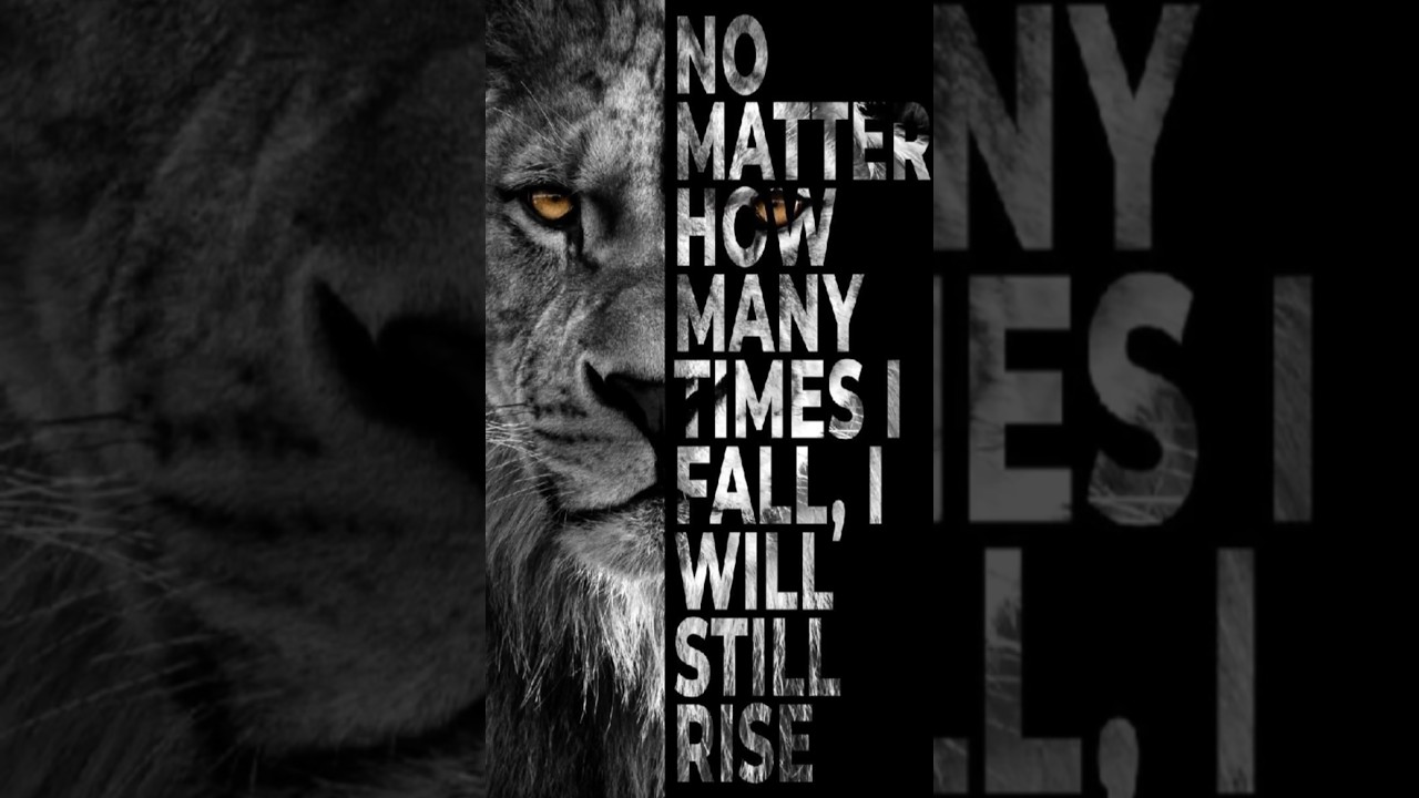 Rise Up 💪 | TheFatRat | Motivational EDM Status | 