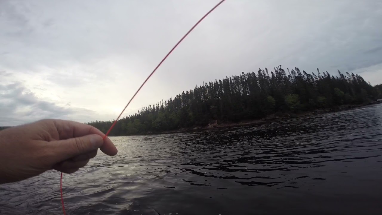 First weekend salmon fishing at Big Falls , Newfoundland YouTube