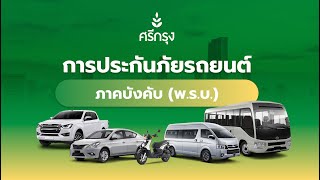 การประกันภัยรถยนต์ภาคบังคับ (พ.ร.บ.)