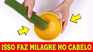 Qual o efeito da babosa no cabelo?
