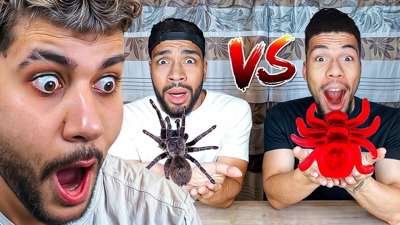 die alten Prankbros Sind Zurück..