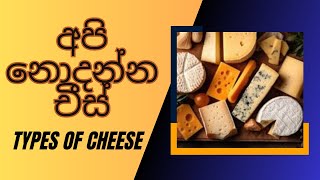 අපි නොදන්න චීස් - Types of Cheese #education #educational #cheese #english #food #foodie