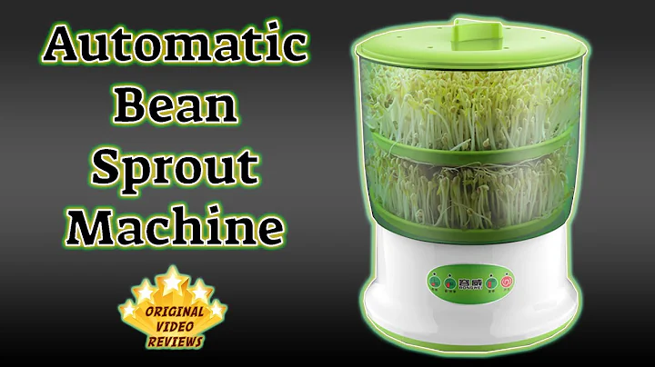 Bean Sprouts Machine Review 🌱 - DayDayNews