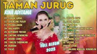 Rina Aditama | TAMAN JURUG - DEKENGANE PUSAT - PELANGGARAN - TULUS | Rina Aditama FULL ALBUM