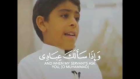 وإذا سألك عبادي عني فإني قريب 🌹 انس شهاب حالات واتس اب دينية قصيرة مؤثرة قرآن كريم تلاوة خاشعة انستا