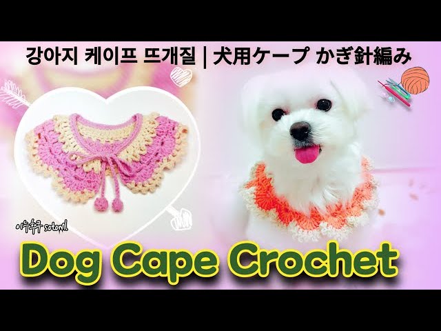 Knitting a Dog Cape | Handmade Dog Cape / Knitting a Dog Cape